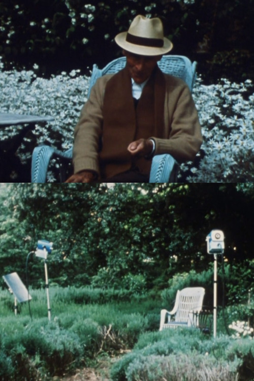 Bram Van Velde (1983) poster