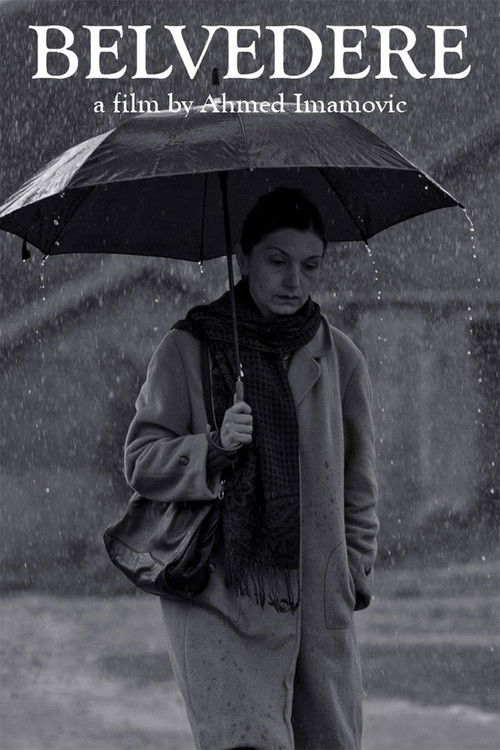 Belvedere (2010) poster