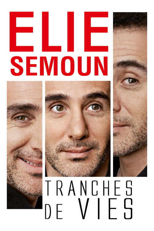 Elie Semoun : Tranches de vies (2012) poster