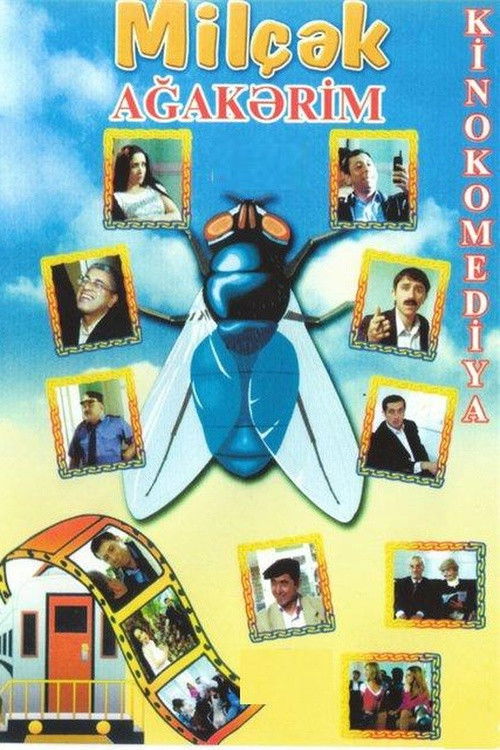 Fly (2006) poster