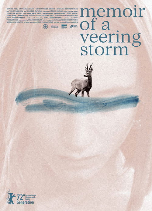 Memoir of a Veering Storm (2022) poster