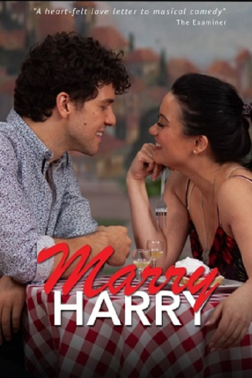 Marry Harry (2020) poster