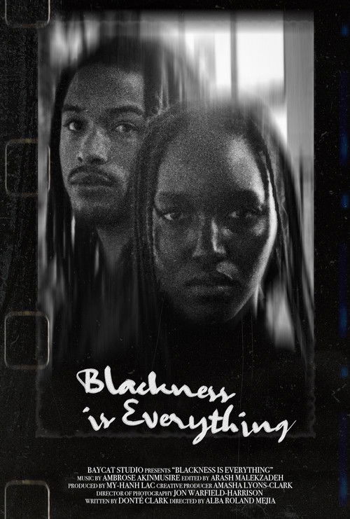 Blackness Is Everything (2021) poster