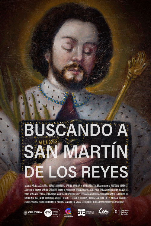 Looking for San Martín de los Reyes (2022) poster