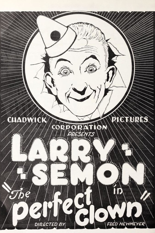 The Perfect Clown (1925) poster