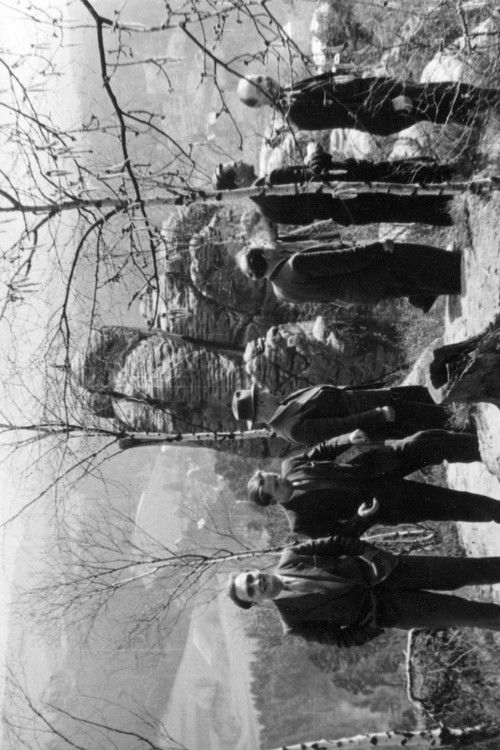 The Seven from the Rhine (1954) poster