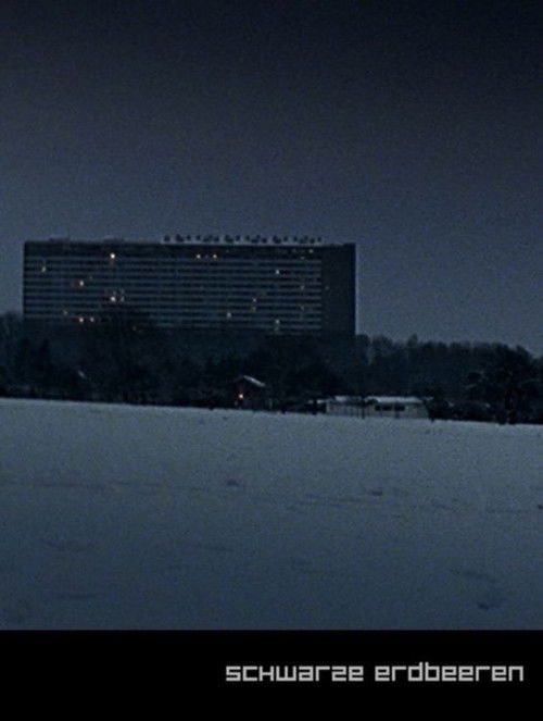 Schwarze Erdbeeren (2005) poster