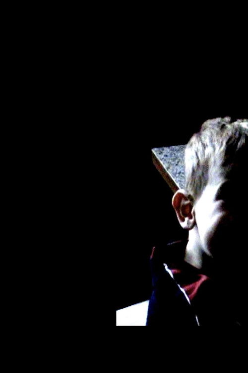 FIVE VARIANTS A CASSETTE A SPIDER (2023) poster