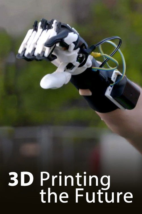 3D - Printing the future (2017) poster