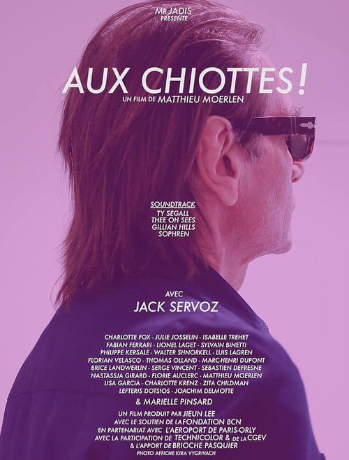 Aux chiottes! (2017) poster
