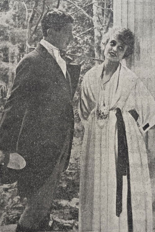 White and Black (1919) poster