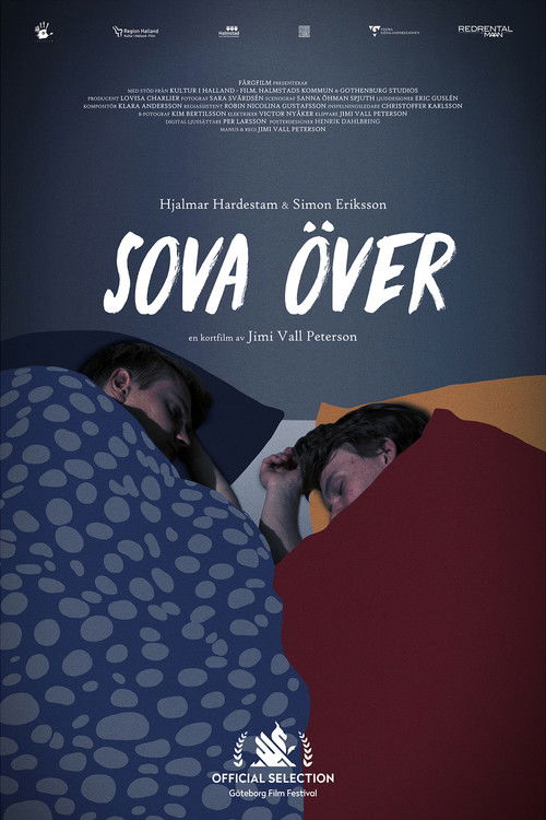 Sleepover (2018) poster