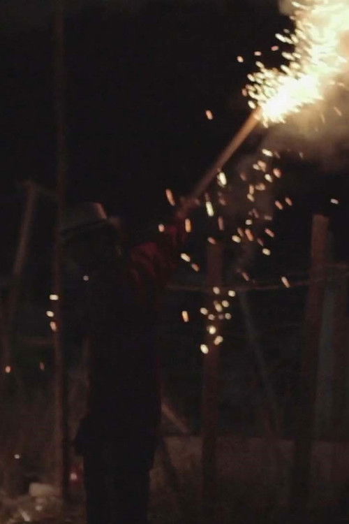 Na Missão, com Kadu (2016) poster