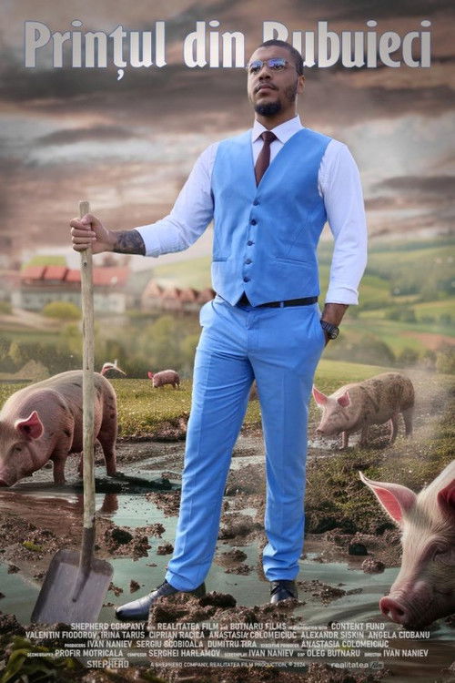 The Prince from Bubuieci (2025) poster