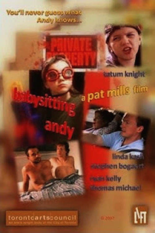 Babysitting Andy (2007) poster