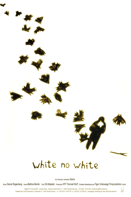 White no White (2010) poster