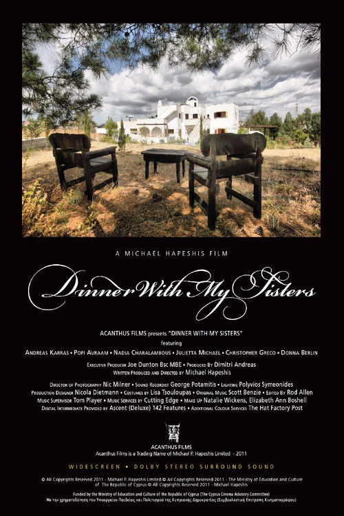 Dinner with My Sisters (2011) poster