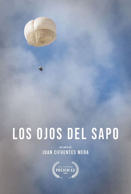 Los Ojos del Sapo (2020) poster