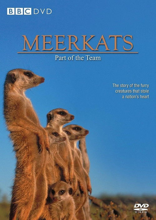 Meerkats: Part of the Team (2002) poster