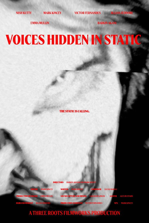 Voices Hidden in Static (2025) poster