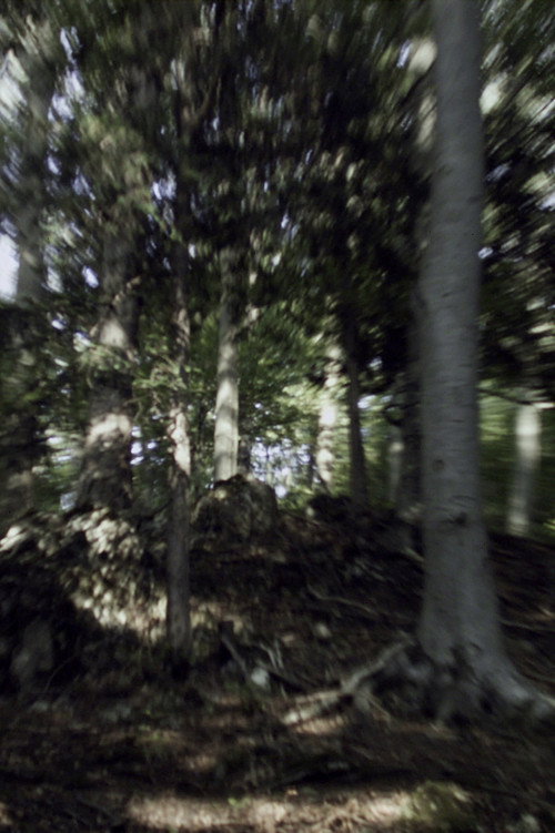 VERTIGO RUSH (2007) poster