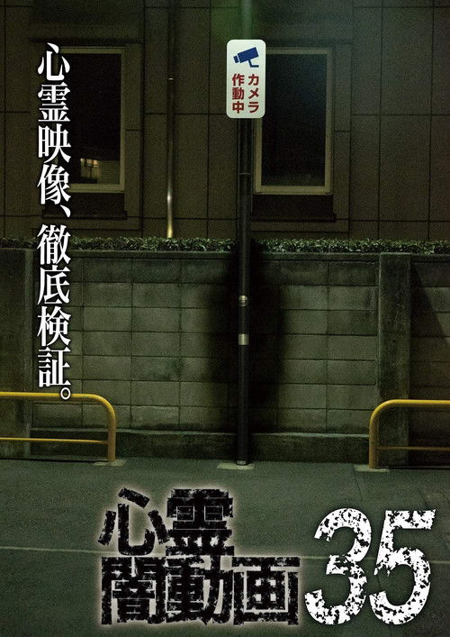 Psychic Darkness Video 35 (2019) poster