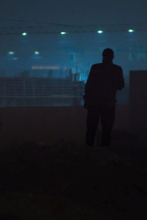 Most of What Follows Is True (2020) poster