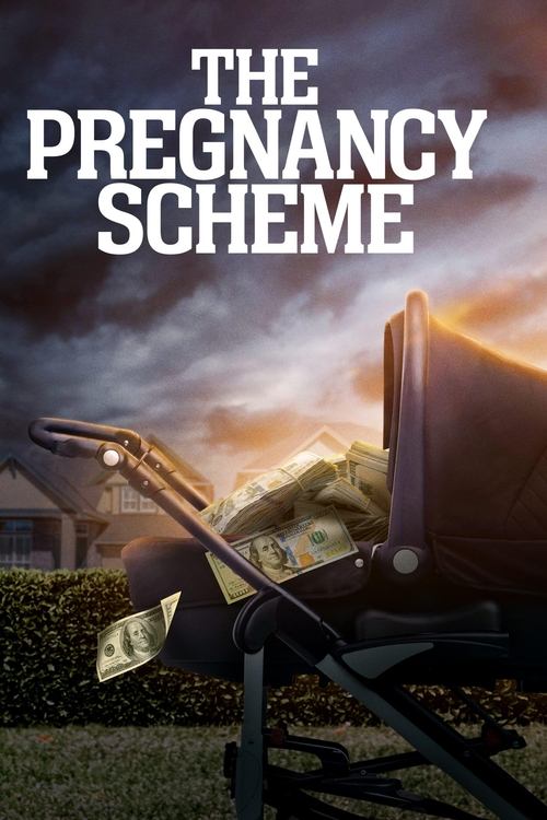 The Pregnancy Scheme (2023) poster