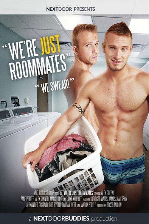 We're Just Roommates (2016) poster
