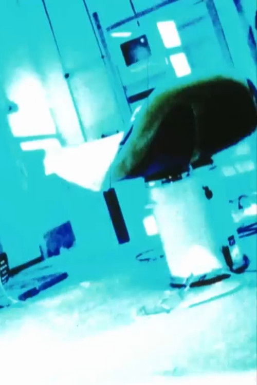 Venus 220 Volt (1991) poster