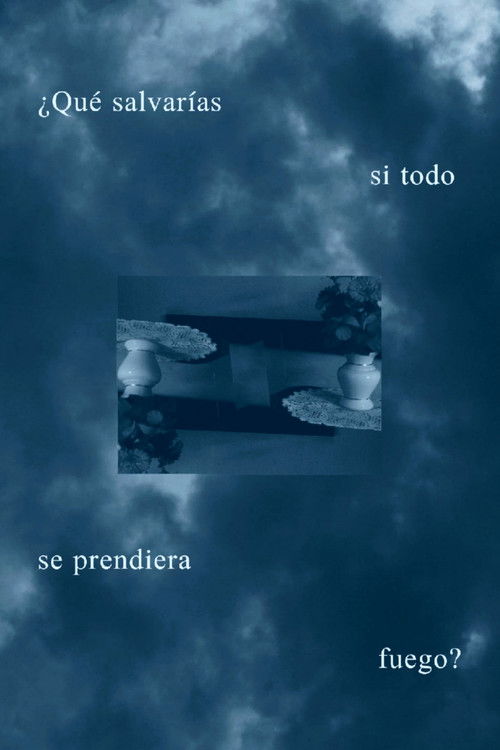 ¿Qué salvarías si todo se prendiera fuego? (2024) poster