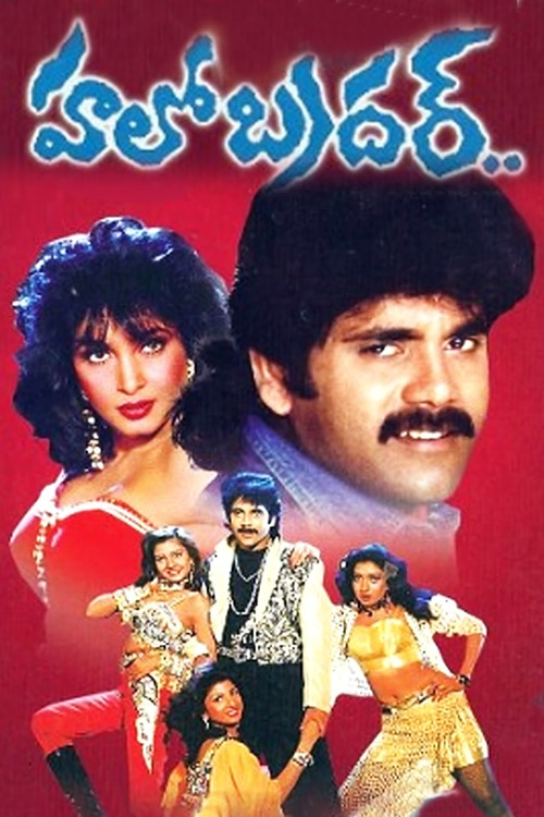హలో బ్రదర్ (1994) poster