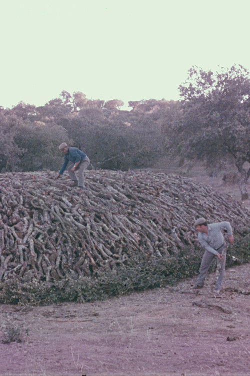 Encinares (1973) poster