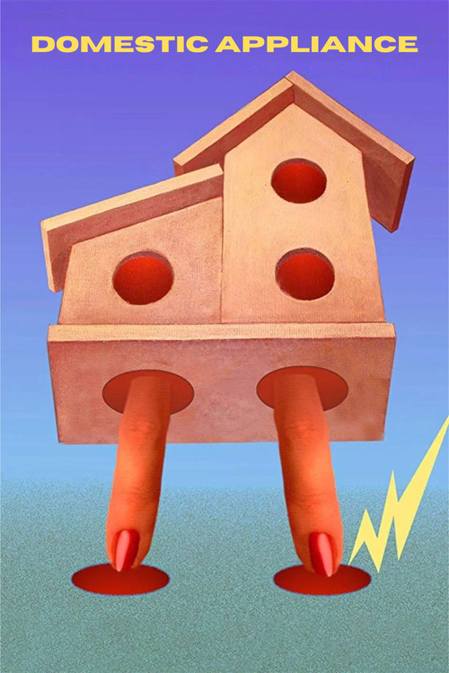 Eletrodoméstica (2005) poster