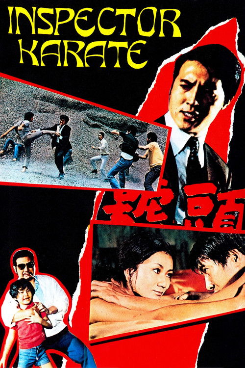Tou hao tie ren (1973) poster