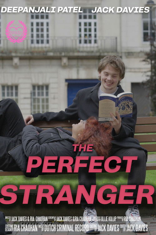 The Perfect Stranger (2024) poster