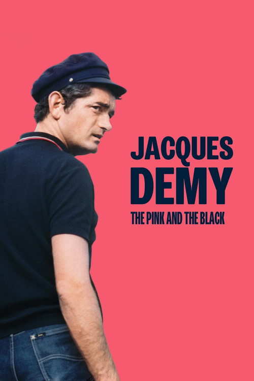 Jacques Demy, le rose et le noir (2024) poster