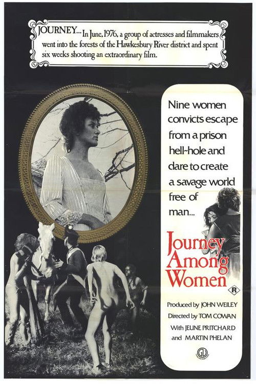 Journey Among Women (1977) poster