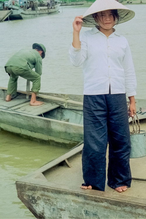 Martwa natura (1977) poster