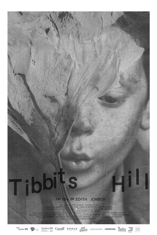 Tibbits Hill (2021) poster