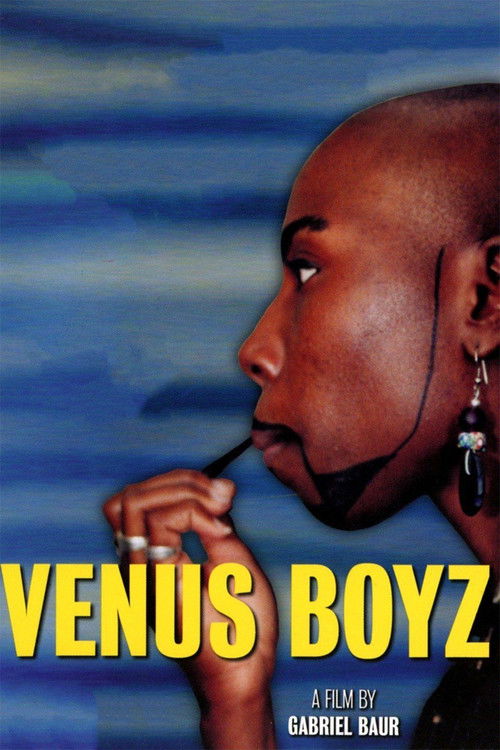 Venus Boyz (2002) poster