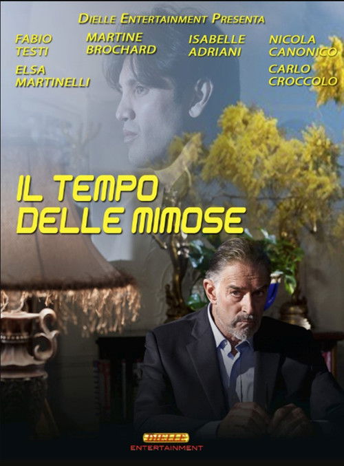 Il tempo delle mimose (2013) poster