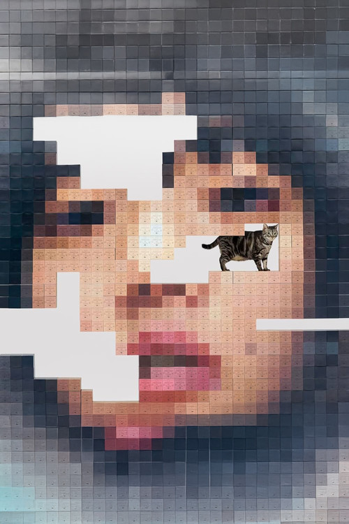 AIMYON TOUR 2023 -マジカル・バスルーム-  IN TOKYO GARDEN THEATER (2024) poster