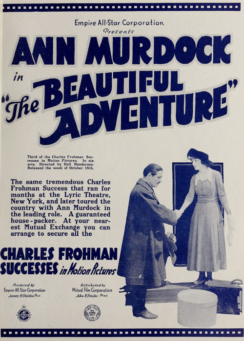 The Beautiful Adventure (1917) poster