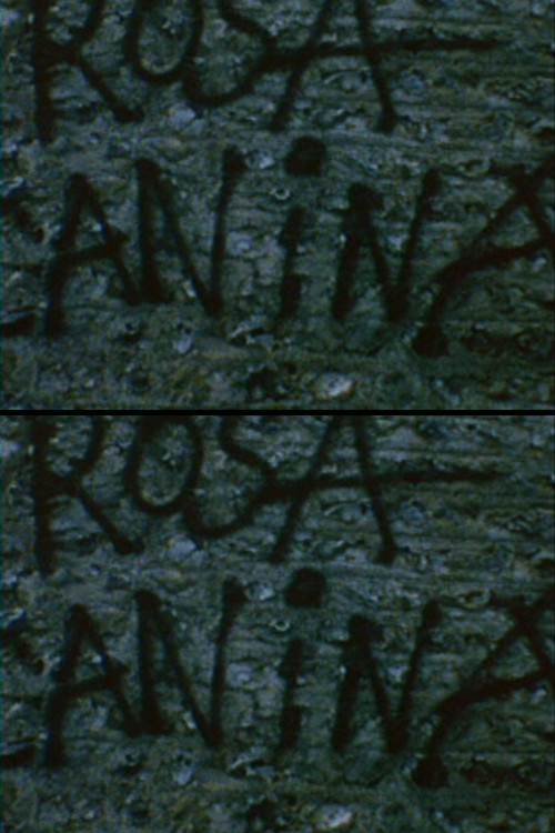 Rosa Canina (1975) poster