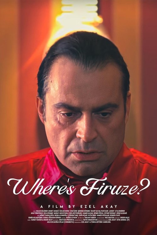 Where's Firuze? (2004) poster