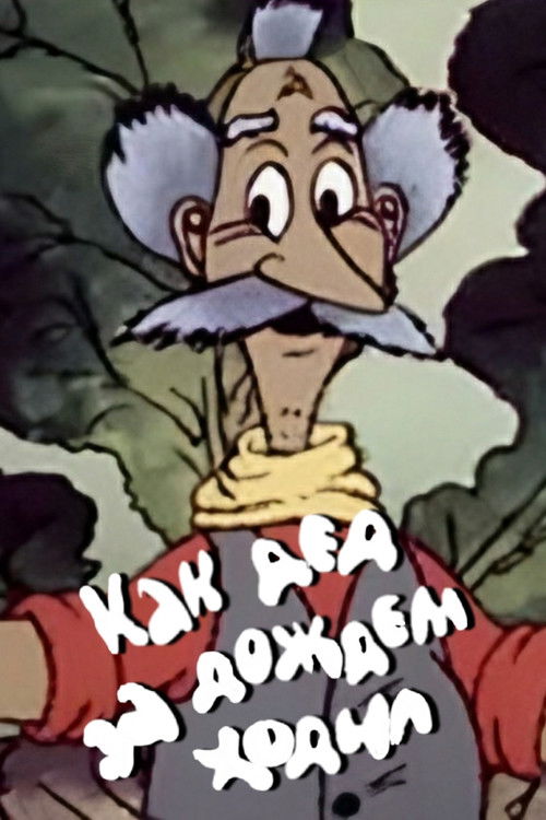 How the Old Man Went for the Rain (1986) poster