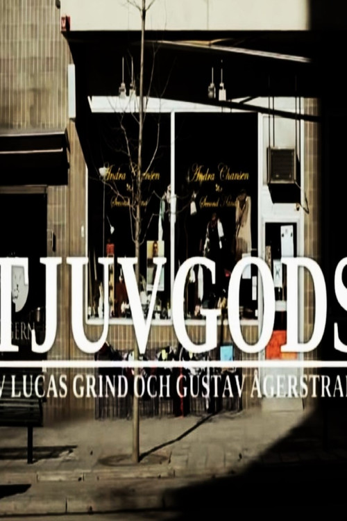 Tjuvgods (2013) poster