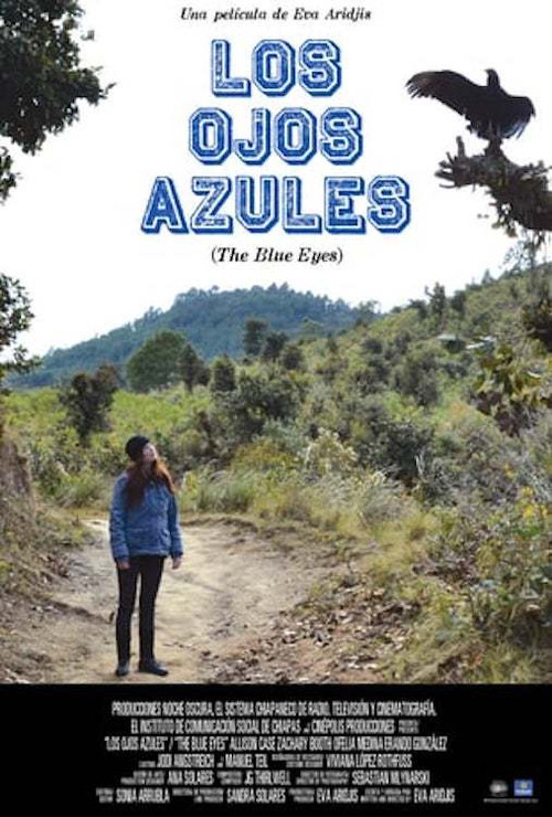 Los Ojos Azules (2013) poster