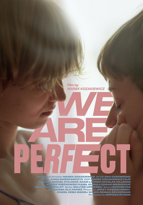 We Are Perfect (2026) poster